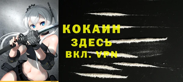 индика Абаза