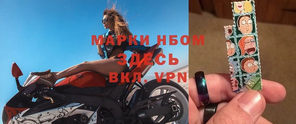 индика Абаза