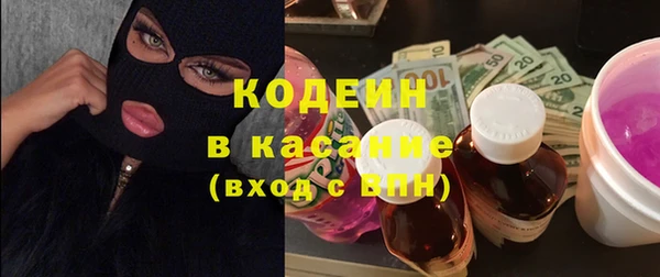 индика Абаза