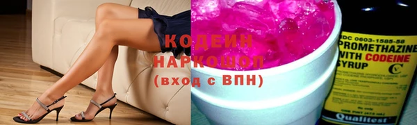 индика Абаза