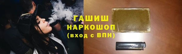 индика Абаза