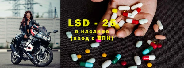 индика Абаза