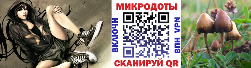 закладка  блэк спрут онион  Галлюциногенные грибы MAGIC MUSHROOMS  Балаково 